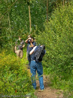 raid Fotográfico Margens da Pateira 2009.06.30
