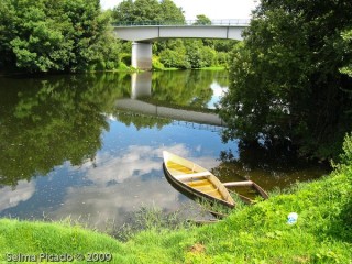 raid Fotográfico Margens da Pateira 2009.06.30