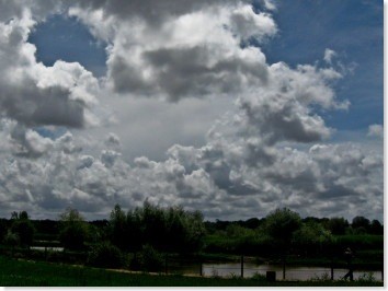 raid Fotográfico Margens da Pateira 2008.05.25