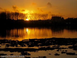 raid Fotográfico Margens da Pateira 2008.12.07